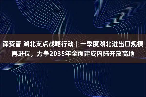 深资管 湖北支点战略行动丨一季度湖北进出口规模再进位，力争2035年全面建成内陆开放高地