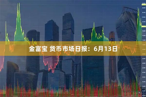 金富宝 货币市场日报：6月13日