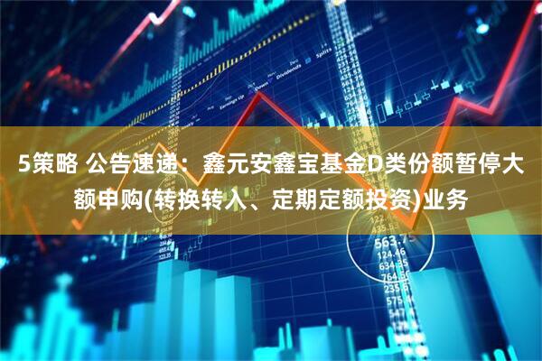5策略 公告速递：鑫元安鑫宝基金D类份额暂停大额申购(转换转入、定期定额投资)业务