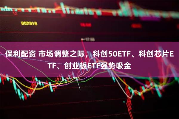 保利配资 市场调整之际，科创50ETF、科创芯片ETF、创业板ETF强势吸金