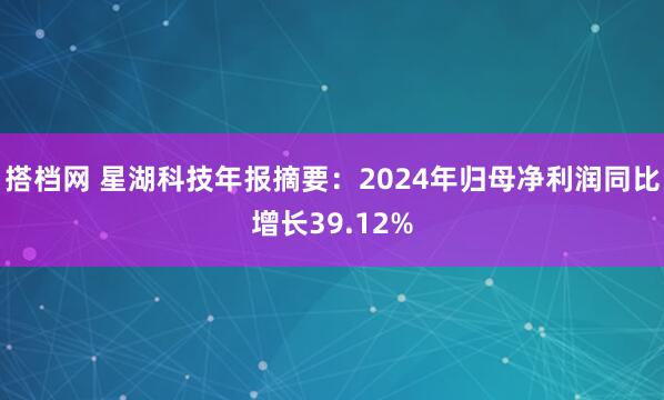 搭档网 星湖科技年报摘要：2024年归母净利润同比增长39.12%